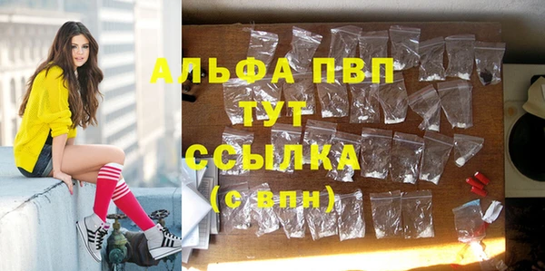 прущие грибы Белая Калитва