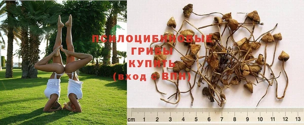 индика Навашино