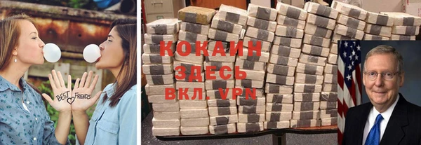 амф Дмитриев