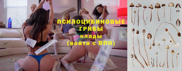 амф Дмитриев
