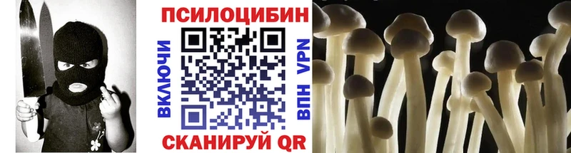 Псилоцибиновые грибы мухоморы наркотики мега ссылка Донецк