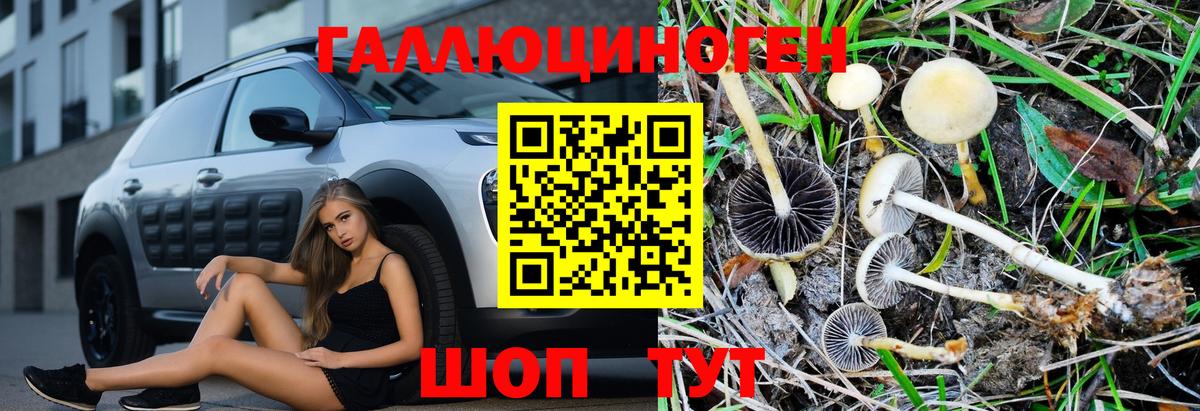 Галлюциногенные грибы ЛСД Донецк