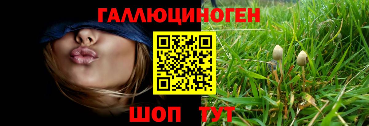 Псилоцибиновые грибы Psilocybe Донецк